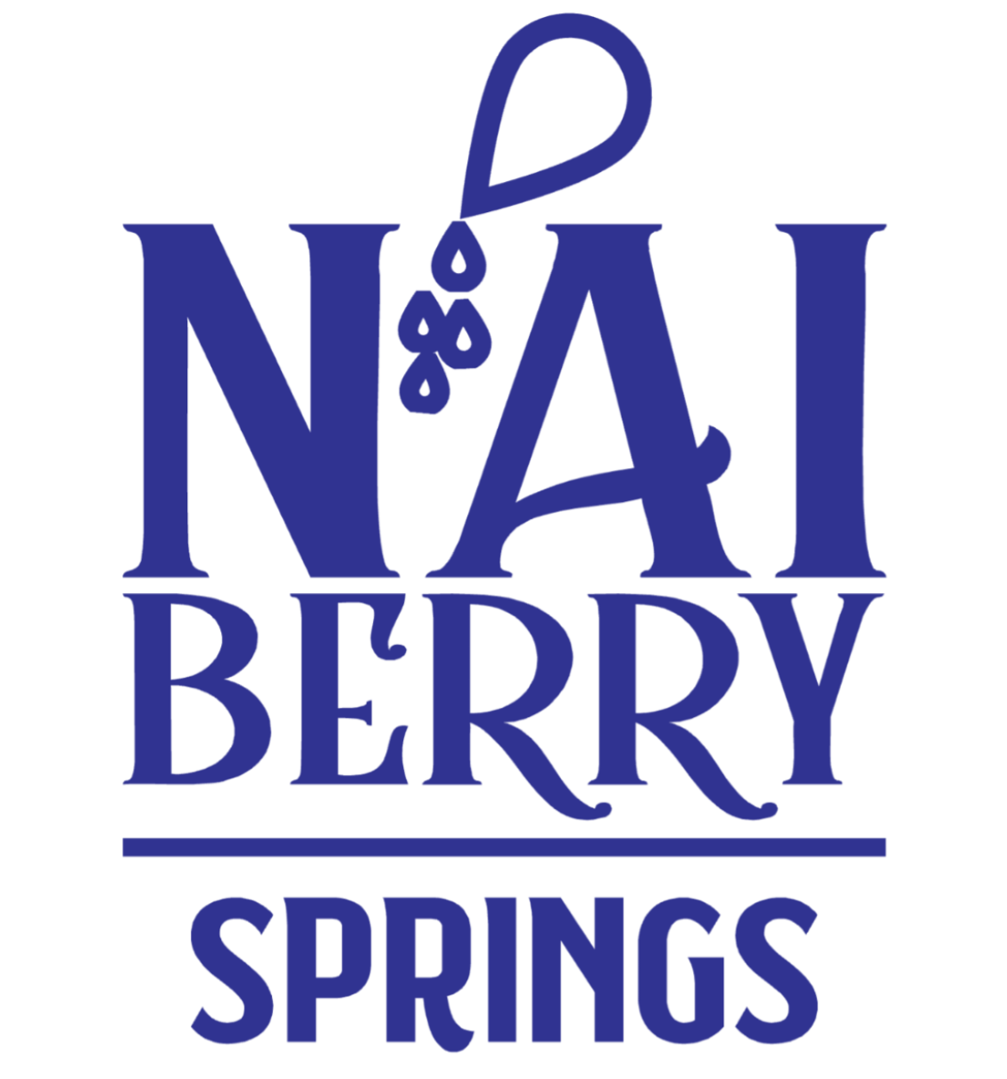 NaiBerry_Springs_Logo_1129x1210